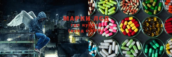 СК Аркадак